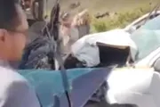 صدى الساحل اخبار اليمن الان وإصابة أشخاص حادثتي مروعتين بمحافظة اخبار اليمن الان الحدث اليوم عاجل صدى الساحل