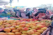 عرب تايم اخبار اليمن الان اخبار وتقارير رقابية والمخابز الباحة اخبار اليمن الان الحدث اليوم عاجل عرب تايم