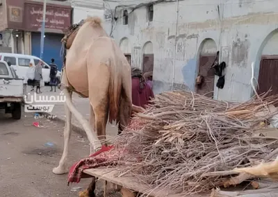 اخبار اليمن الان الحطب شوارع المدينة المواقد القديمة اخبار اليمن الان الحدث اليوم عاجل