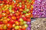 اخبار اليمن الان الحدث اليوم عاجل كريتر إسكاي