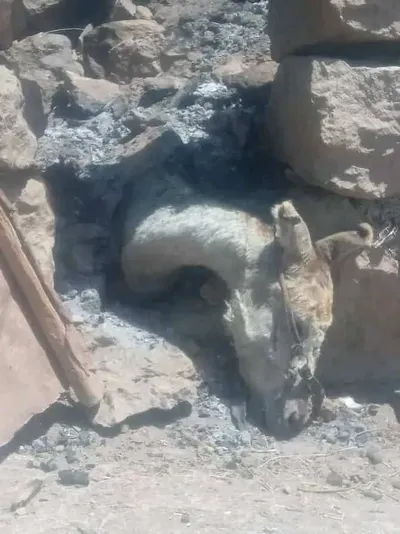 اخبار اليمن الان الحدث اليوم عاجل 