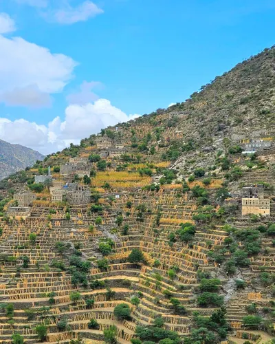 اخبار اليمن الان الأرصاد القادمين المناطق المزارعين المرتفعات اخبار اليمن الان الحدث اليوم عاجل