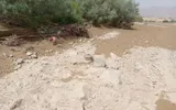 وكالة خبر اخبار اليمن الان ألغام حوثية جرفتها سيول الأمطار اخبار اليمن الان الحدث اليوم عاجل وكالة خبر