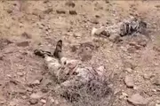 الجنوب بوست اخبار اليمن الان إعلاميون وناشطون يطلقون نهايتك المشروع اخبار اليمن الان الحدث اليوم عاجل الجنوب بوست