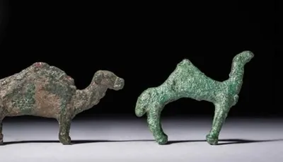 اخبار اليمن الان صنعاء الإنتربول الدولي التدخل العاجل اخبار اليمن الان الحدث اليوم عاجل