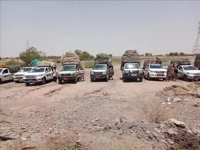 اخبار اليمن الان السير واحتجاز مركبات القات الدباء اخبار اليمن الان الحدث اليوم عاجل