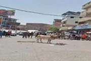 صدى الساحل اخبار اليمن الان بلاغات الأهالي الأمن يتدخل لإنهاء اخبار اليمن الان الحدث اليوم عاجل صدى الساحل