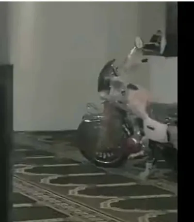 اخبار اليمن الان باحد المساجد وتحويله للمقيل والتخزين اخبار اليمن الان الحدث اليوم عاجل