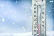 عاجل السعودية اخبار اليمن الان دراسة بالدماغ المتزايد انخفاض الحرارة اخبار اليمن الان الحدث اليوم عاجل عاجل السعودية