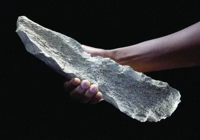 اخبار اليمن الان دراسة أسلاف البشر يصنعون أدوات اخبار اليمن الان الحدث اليوم عاجل