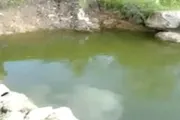صدى الساحل اخبار اليمن الان وفاة غرقا مائي بمديرية الشمايتين اخبار اليمن الان الحدث اليوم عاجل صدى الساحل