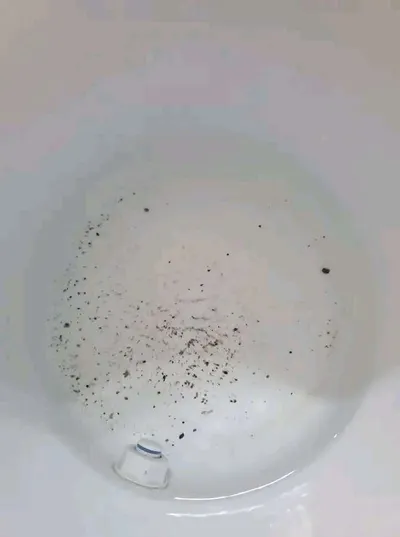 اخبار اليمن الان الكشف امر خطير يتواجد الماء اخبار اليمن الان الحدث اليوم عاجل