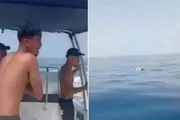 صحيفة المرصد اخبار اليمن الان صرخة البحر الغضب الشارع التونسي اخبار اليمن الان الحدث اليوم عاجل صحيفة المرصد