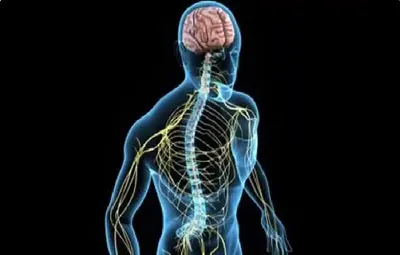 اخبار اليمن الان الطبية التصلب اللويحي المتعدد التعايش اخبار اليمن الان الحدث اليوم عاجل