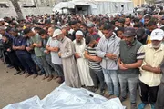 وكالة الصحافة اليمنية اخبار اليمن الان الشهداء تتجاوز استمرار وانتشال الضحايا اخبار اليمن الان الحدث اليوم عاجل وكالة الصحافة اليمنية