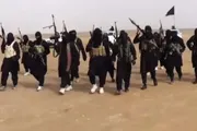 صدى الحقيقة اخبار اليمن الان الإفراج إرهابية الحكومة اليمنية الحوثيين اخبار اليمن الان الحدث اليوم عاجل صدى الحقيقة