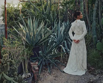 اخبار اليمن الان وأناقة إطلالات مليئة بالأنوثة والفخامة اخبار اليمن الان الحدث اليوم عاجل