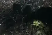 عرب تايم اخبار اليمن الان الآلاف يحتفلون الأرجنتين لنهائي مونديال اخبار اليمن الان الحدث اليوم عاجل عرب تايم