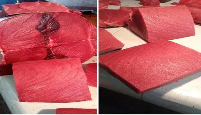 اخبار اليمن الان العيد إستمرار إرتفاع أسعار الأسماك اخبار اليمن الان الحدث اليوم عاجل