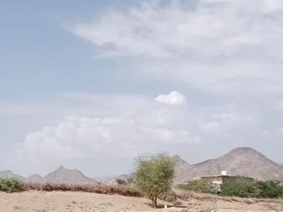 اخبار اليمن الان بالصور أجواء جميلة وعودة الخميس اخبار اليمن الان الحدث اليوم عاجل