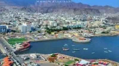 اخبار اليمن الان مطاعم بالمعلا تحتوي صراصير ودجاج اخبار اليمن الان الحدث اليوم عاجل