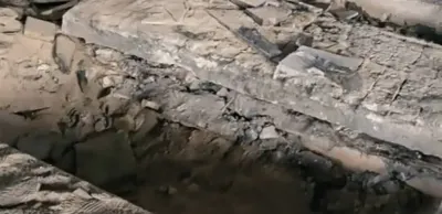 اخبار اليمن الان الأسد واختفاء رفاته إحراقه فيديو اخبار اليمن الان الحدث اليوم عاجل