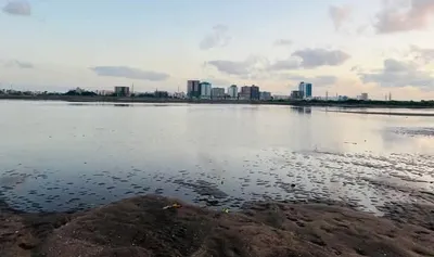 اخبار اليمن الان الهزات الارضية تتزايد الشواطئ المعنية اخبار اليمن الان الحدث اليوم عاجل