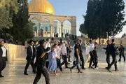 اخبار اليمن الان الحدث اليوم عاجل صحيفة الثورة صنعاء