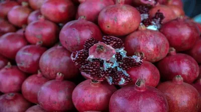 اخبار اليمن الان عدد4 فوائد للرمان صحة القلب اخبار اليمن الان الحدث اليوم عاجل