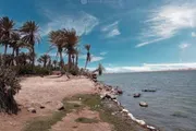 اخبار اليمن الان الحدث اليوم عاجل كريتر إسكاي