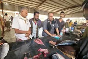 عدن تايم اخبار اليمن الان الصناعة والتجارة الرقابة الأسماك المتلاعبين اخبار اليمن الان الحدث اليوم عاجل عدن تايم