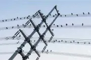 عرب تايم اخبار اليمن الان وتقارير الكهرباء استهداف الطيور العالي اخبار اليمن الان الحدث اليوم عاجل عرب تايم