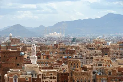 اخبار اليمن الان الكشف السلام اليمن بتوفر الامر اخبار اليمن الان الحدث اليوم عاجل