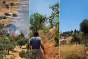 صحيفة الثورة صنعاء اخبار اليمن الان مستوطنون متكررة مزارعين فلسطينيين الأغوار اخبار اليمن الان الحدث اليوم عاجل صحيفة الثورة صنعاء