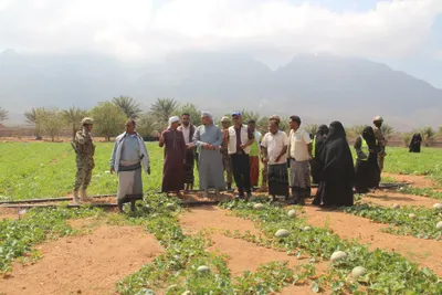 اخبار اليمن الان محافظ سقطرى مزرعة جمعية معنوفة اخبار اليمن الان الحدث اليوم عاجل