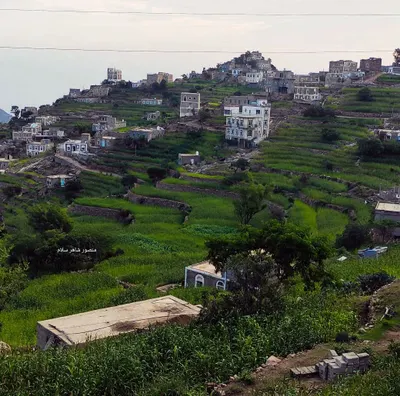 اخبار اليمن الان انخفاض الحرارة الساعات القادمة واحتمال اخبار اليمن الان الحدث اليوم عاجل