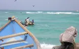 وكالة خبر اخبار اليمن الان وصول صيادا الخوخة احتجازهم إريتريا اخبار اليمن الان الحدث اليوم عاجل وكالة خبر