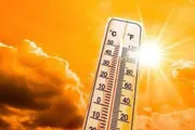 اخبار اليمن الان الحدث اليوم عاجل وكالة الصحافة اليمنية