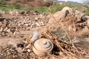 صدى الساحل اخبار اليمن الان الحديدة المليشيا الحوثية أراضيها الزراعية اخبار اليمن الان الحدث اليوم عاجل صدى الساحل