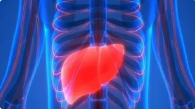 اخبار اليمن الان الطبية أعراض سرطان الكبد الوقاية اخبار اليمن الان الحدث اليوم عاجل