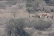 صحيفة المرصد اخبار اليمن الان تنويه الناطق الرسمي لمحور الضالع اخبار اليمن الان الحدث اليوم عاجل صحيفة المرصد