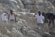 صحيفة الثورة صنعاء اخبار اليمن الان إصابة الفلسطينيين هجوم للمستوطنين الخليل اخبار اليمن الان الحدث اليوم عاجل صحيفة الثورة صنعاء