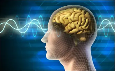 اخبار اليمن الان تعلم أنواع الذكاء الإنسان اعرف اخبار اليمن الان الحدث اليوم عاجل