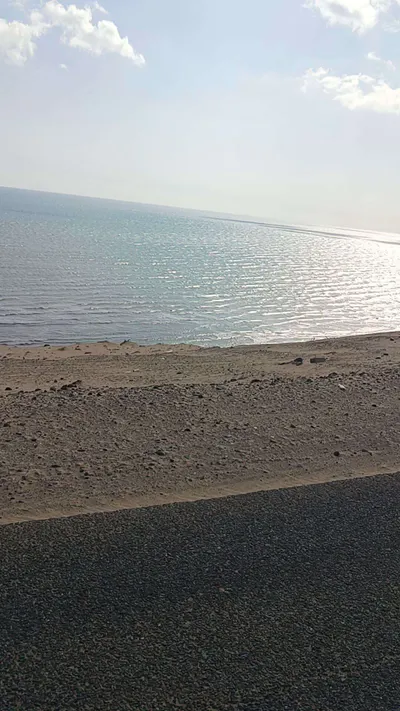اخبار اليمن الان ارتفاع أسعار الحاويات الخارج اليمن اخبار اليمن الان الحدث اليوم عاجل