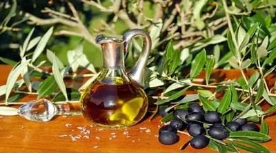 اخبار اليمن الان دراسة تأثير الزيتون مستويات الكولسترول اخبار اليمن الان الحدث اليوم عاجل