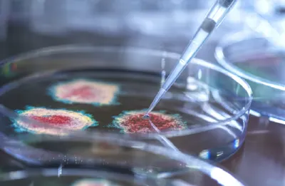 اخبار اليمن الان علماء يكشفون نزلات البرد والإنفلونزا اخبار اليمن الان الحدث اليوم عاجل