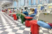كريتر إسكاي اخبار اليمن الان كارثة صحية تقرير بالفشل الكلوي اخبار اليمن الان الحدث اليوم عاجل كريتر إسكاي