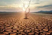 عاجل السعودية اخبار اليمن الان الأمم المتحدة تجاوز حرارة الأرض اخبار اليمن الان الحدث اليوم عاجل عاجل السعودية
