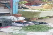 صحيفة المرصد اخبار اليمن الان الشيخ عثمان رحلة ليحيا بكرامة اخبار اليمن الان الحدث اليوم عاجل صحيفة المرصد