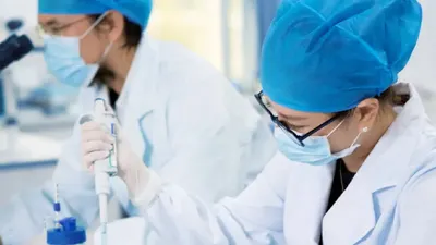 اخبار اليمن الان باحثون صينيون معتدلة الحيوانية الالتهابات اخبار اليمن الان الحدث اليوم عاجل